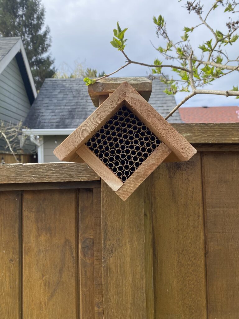 Mason bee house installed.