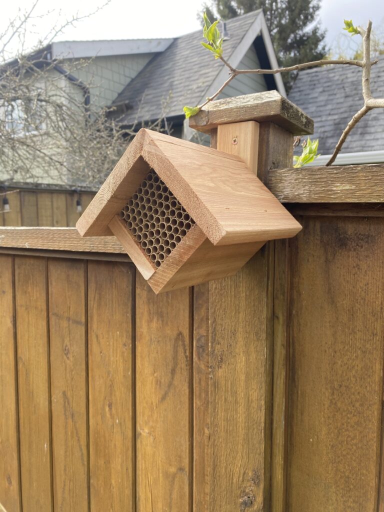 Mason bee house installed.